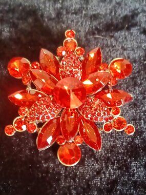 Another Beautiful Red Brooch!